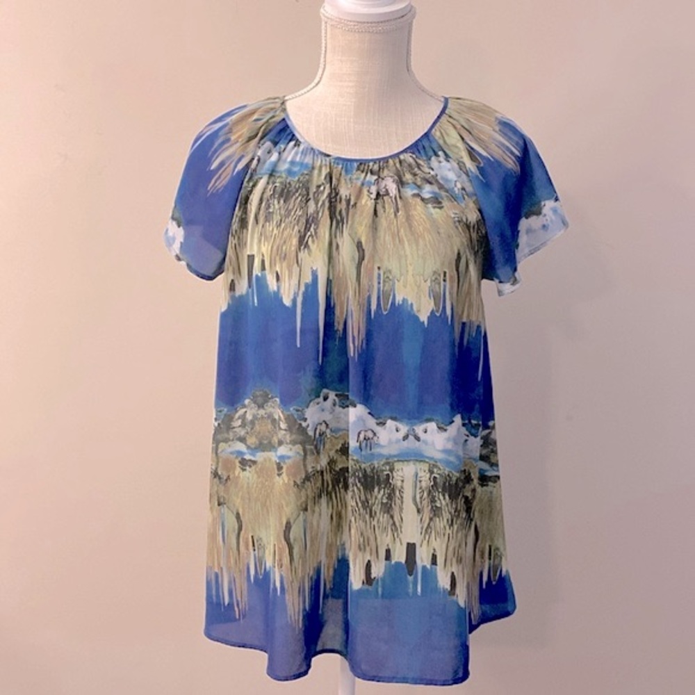 & Other stories woman’s shirt sleeve mountain scene Donkey 🫏 top / Blouse sz6